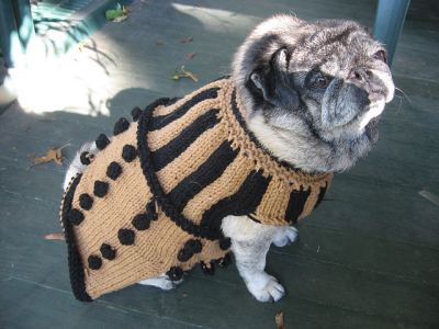 11 Of The Best Patterns For Dogs On The Web