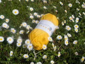 Yarn Store of Month - Crafty Llama